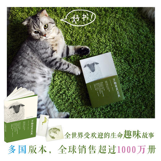 万物有灵且美系列（全5册）9岁+  双螺旋 商品图3