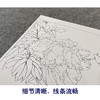 【大彩图】李晓明工笔画白描底稿小品《昆山夜光》牡丹临摹勾线花鸟线稿K038 商品缩略图4