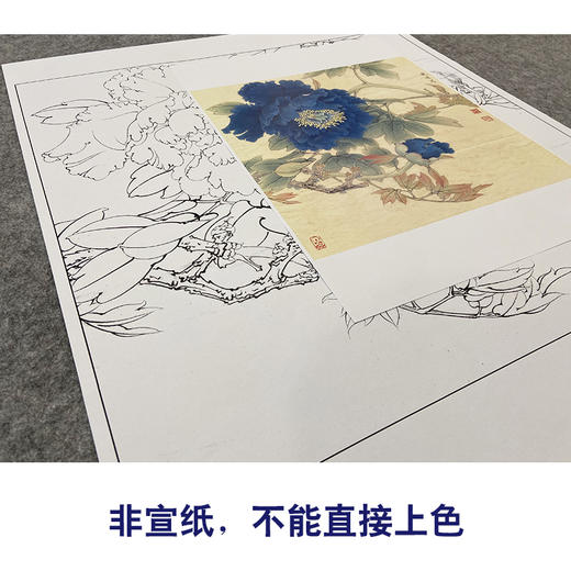 【大彩图】李晓明工笔画白描底稿斗方小品《蓝牡丹》临摹勾线花鸟线稿K037 商品图2