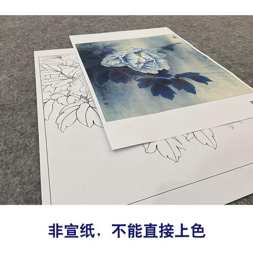 【大彩图】李晓明工笔画白描底稿小品《昆山夜光》牡丹临摹勾线花鸟线稿K038 商品图2