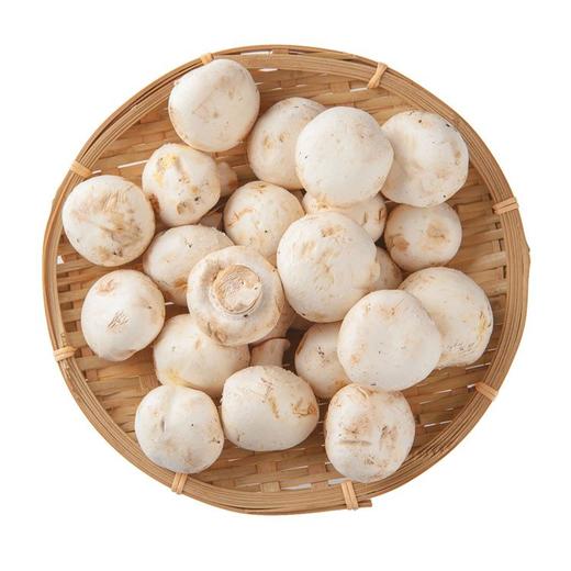 白蘑菇 约220g/份 商品图0