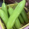 白玉黄瓜 商品缩略图0