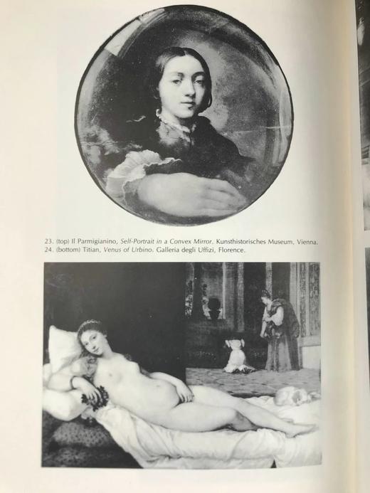 文本之眼：从矫饰主义到现代的感知随笔 62幅插图 精装18开 商品图14