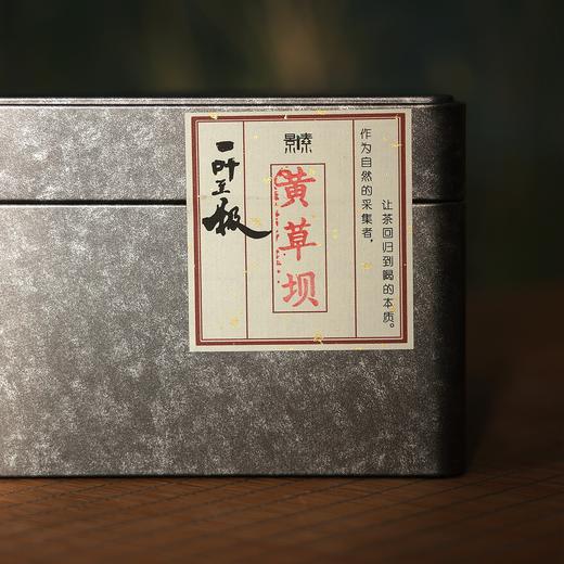 「黄草坝」古树2023年春茶黄片（200g） 商品图0