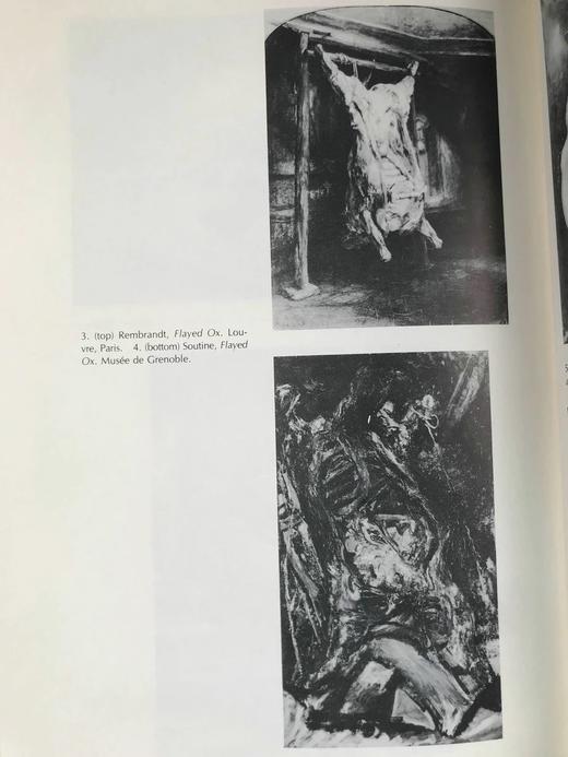 文本之眼：从矫饰主义到现代的感知随笔 62幅插图 精装18开 商品图6