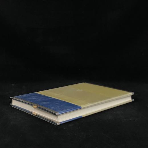 文本之眼：从矫饰主义到现代的感知随笔 62幅插图 精装18开 商品图2