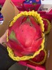 周二取货：【海南蜜宝火龙果】一个1斤左右，纯甜！多汁！肉细！抗老神器哦！ 商品缩略图3