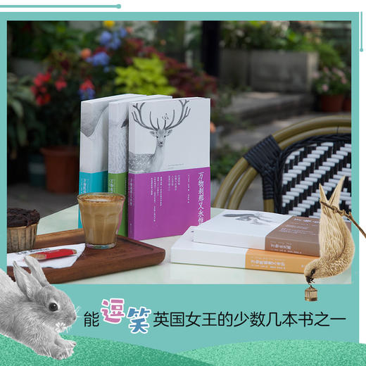 万物有灵且美系列（全5册）9岁+  双螺旋 商品图5