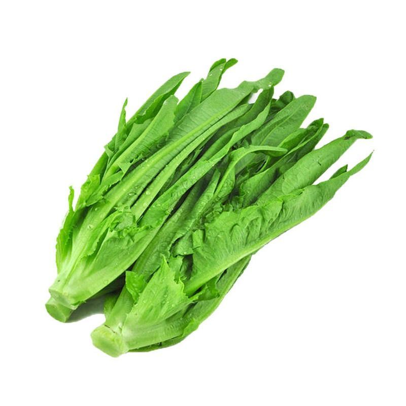 油麦菜 约500g/份