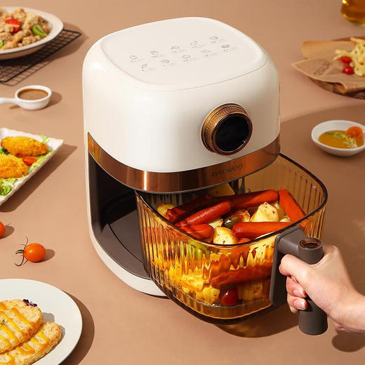 大宇（DAEWOO）家用电炸锅多功能可视窗口4L容量空气炸锅 DYKZ-4008暖阳白 商品图6