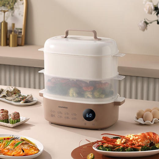 大宇（DAEWOO）家用电蒸箱多功能大容量可预约多用电蒸锅DYZL-1215 商品图1