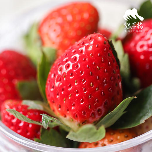 生态草莓 （浙江，买赠活动）|合作生产 * Ecological strawberry | Coproduction 商品图0