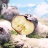 佳沃进口蓝莓 约125g/盒 14+ 商品缩略图1