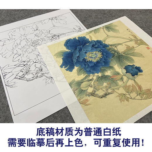 【大彩图】李晓明工笔画白描底稿斗方小品《蓝牡丹》临摹勾线花鸟线稿K037 商品图3