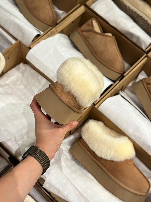 发货实拍📦
268🉐️
厚底塔茨特 栗色 商品图2