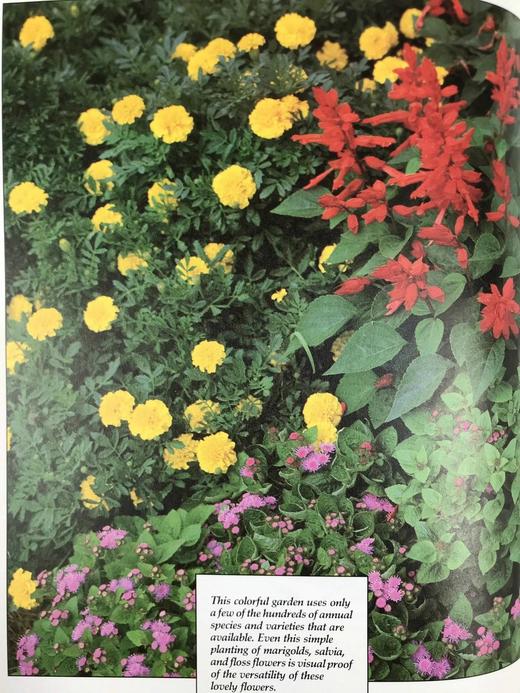 园艺宝典 数百幅彩色插图 精装16开 商品图6