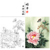 【大彩图】李晓明工笔画白描底稿《轻舞飞扬》牡丹临摹勾线花鸟线稿K033 商品缩略图0