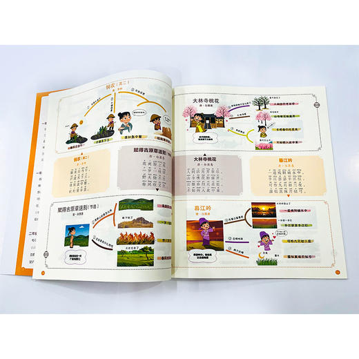这才是孩子爱读的古诗词（全3册） 商品图8