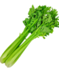 西芹 约700g±10g/份 商品缩略图1