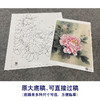 【大彩图】李晓明工笔画白描底稿《观音面》牡丹临摹勾线花鸟线稿K029 商品缩略图1