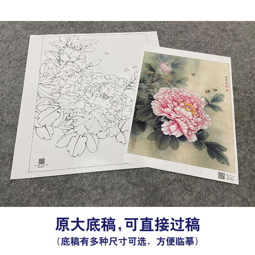 【大彩图】李晓明工笔画白描底稿《观音面》牡丹临摹勾线花鸟线稿K029 商品图1