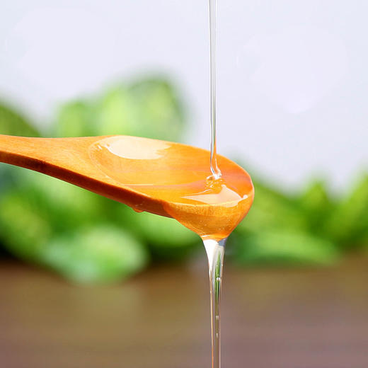 神农蜂语洋槐蜜500g 商品图1