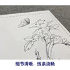 【大彩图】李晓明工笔画白描底稿《轻舞飞扬》牡丹临摹勾线花鸟线稿K033 商品缩略图4