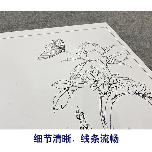 【大彩图】李晓明工笔画白描底稿《轻舞飞扬》牡丹临摹勾线花鸟线稿K033 商品图4