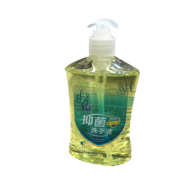 拉芳抑菌滋润呵护洗手液500g