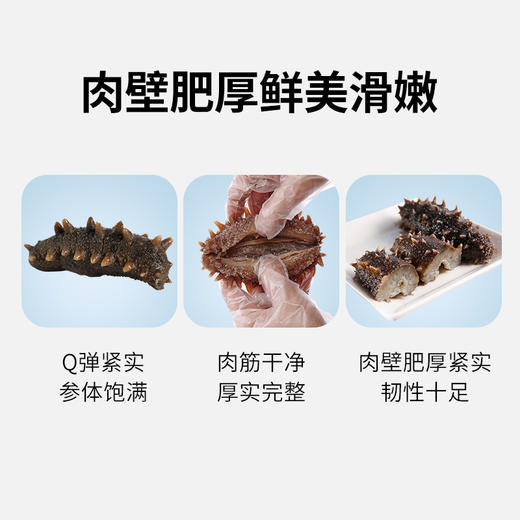 LD即食大连刺参 500G/袋（10-12头） 商品图3