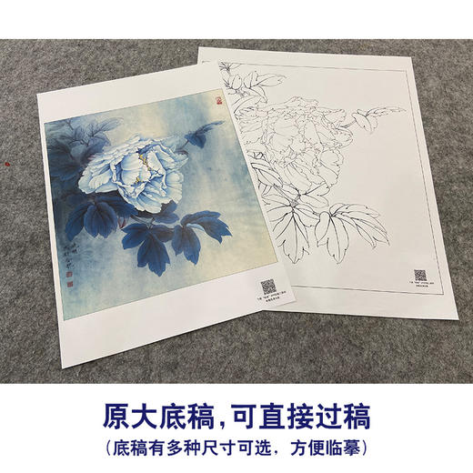 【大彩图】李晓明工笔画白描底稿小品《昆山夜光》牡丹临摹勾线花鸟线稿K038 商品图1