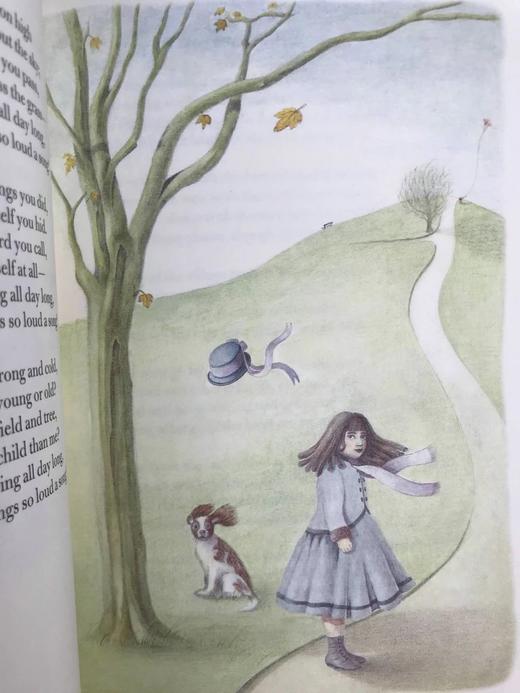 史蒂文森《童诗花园》（2000） 数十幅插图 精装18开带书匣 商品图11