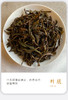 凤凰单枞 | 2023年 正春 宋种100G/罐 商品缩略图4