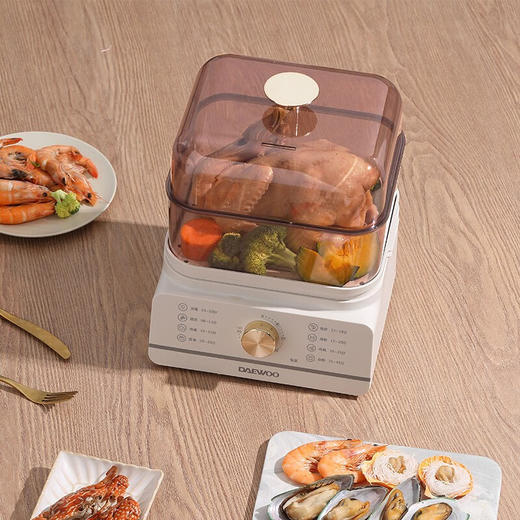 大宇（DAEWOO）电蒸锅12L大容量多用途家用电蒸箱DYZX-1231 商品图3