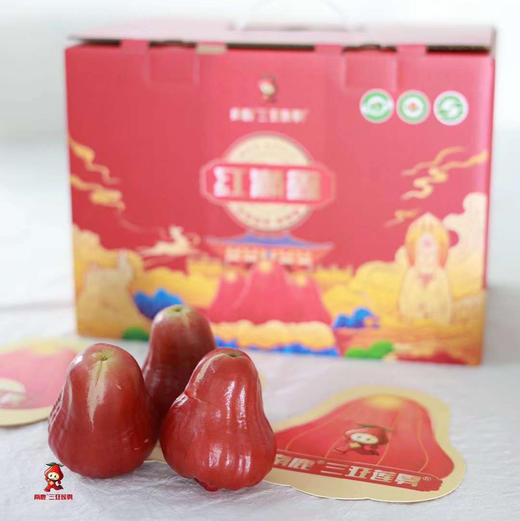 南鹿一号有机莲雾顺丰空运包邮下单从三亚发货 商品图3