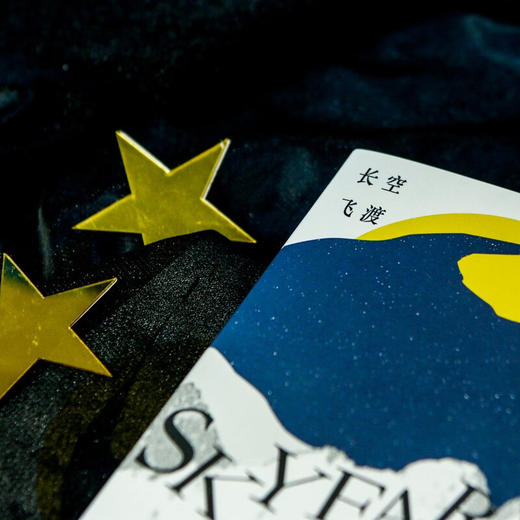 长空飞渡 商品图3