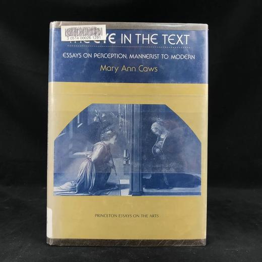 文本之眼：从矫饰主义到现代的感知随笔 62幅插图 精装18开 商品图0