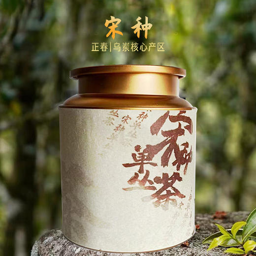 凤凰单枞 | 2023年 正春 宋种100G/罐 商品图0