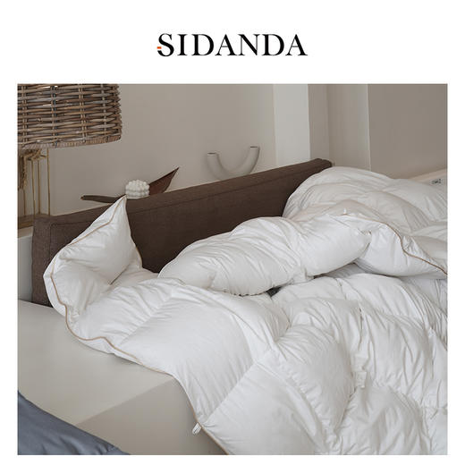【SIDANDA可水洗鹅绒春秋被+冬被】优选国标最高绒子含量填充，95%白鹅绒，蓬松度800+，清洁度1000+抗菌可水洗纺 商品图1