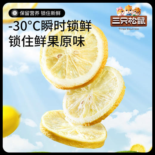 【99元任选18件】茶_冻干柠檬片/25g 商品图2