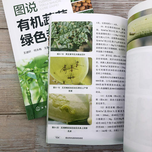 图说有机蔬菜绿色栽培 商品图8
