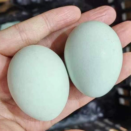 【社区团购】奔牛沈小亚纯散养草鸡蛋/鸭蛋 商品图3