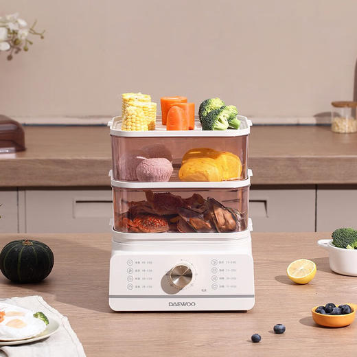 大宇（DAEWOO）电蒸锅12L大容量多用途家用电蒸箱DYZX-1231 商品图2
