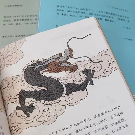 少年读太平广记（精美插图版）全6册 商品图7