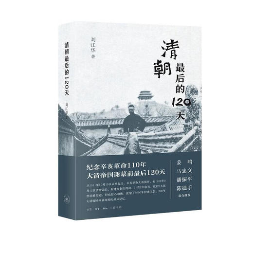 清朝最后的120天 商品图0
