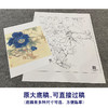 【大彩图】李晓明工笔画白描底稿斗方小品《蓝牡丹》临摹勾线花鸟线稿K037 商品缩略图1