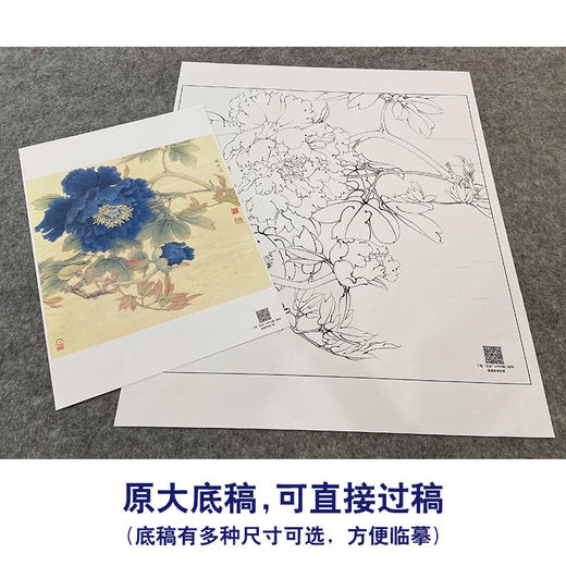 【大彩图】李晓明工笔画白描底稿斗方小品《蓝牡丹》临摹勾线花鸟线稿K037 商品图1