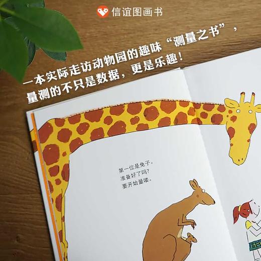 动物量身高 商品图2