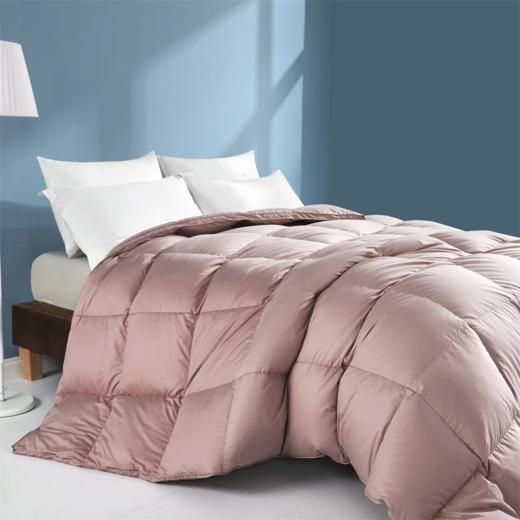 【填充90%/95%鸭绒】鸭绒被 商品图1