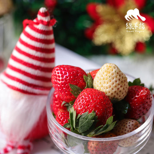 生态草莓 （浙江，买赠活动）|合作生产 * Ecological strawberry | Coproduction 商品图3